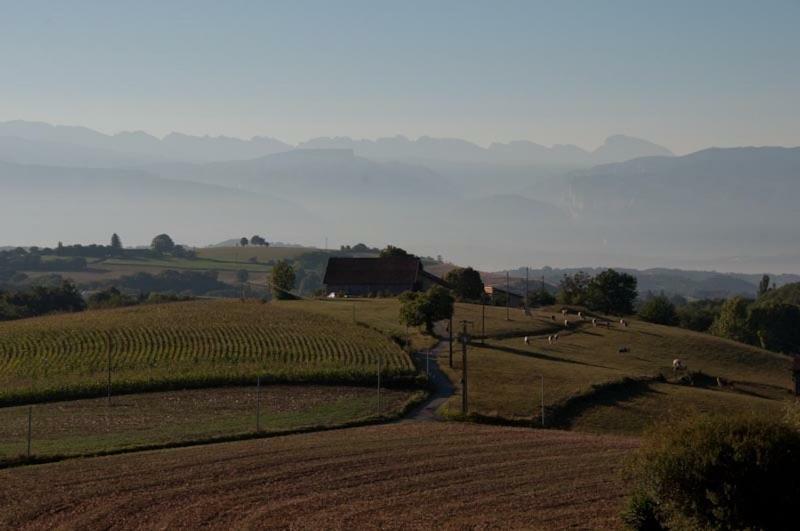 Gite La Grange Du Haut Saint-Antoine  Exteriör bild